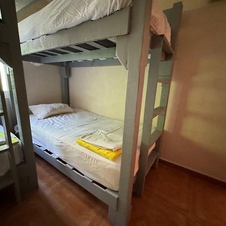 Pecari 26 Appartement Cancún Buitenkant foto
