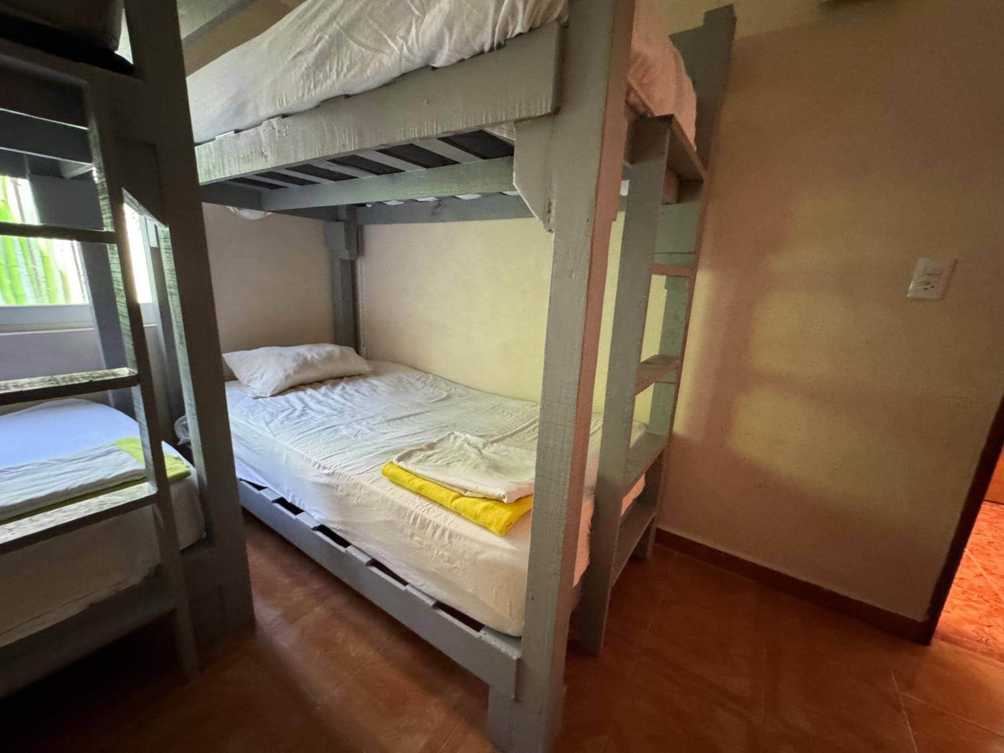 Pecari 26 Appartement Cancún Buitenkant foto